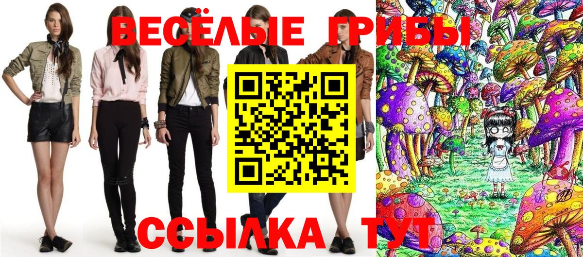 Галлюциногенные грибы мухоморы Мценск