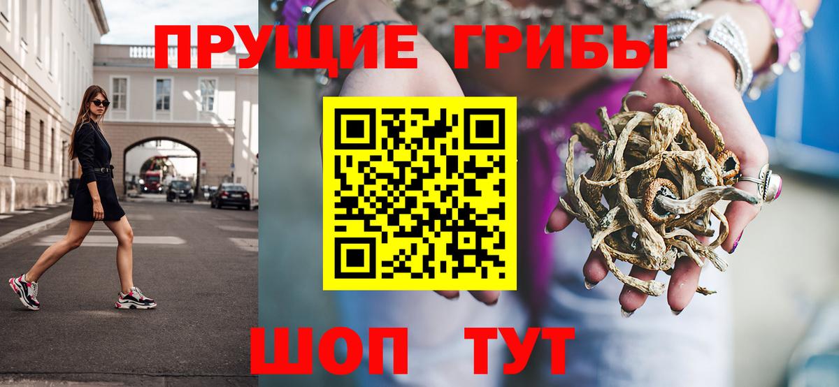 Мценск  Галлюциногенные грибы мицелий  Вход с VPN 